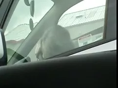 Sexy tất cả phim xét quay lén